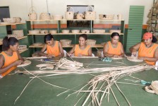 Palha da taboa se transforma com criatividade de artesãsc.