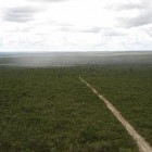 Foto aérea da pista de acesso dentro da reserva.a